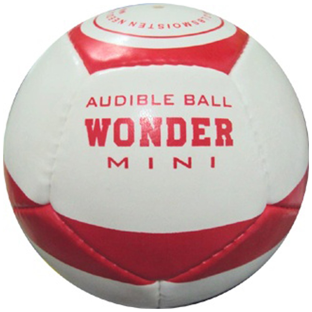 Picture picture of our Junior Soccer Ball