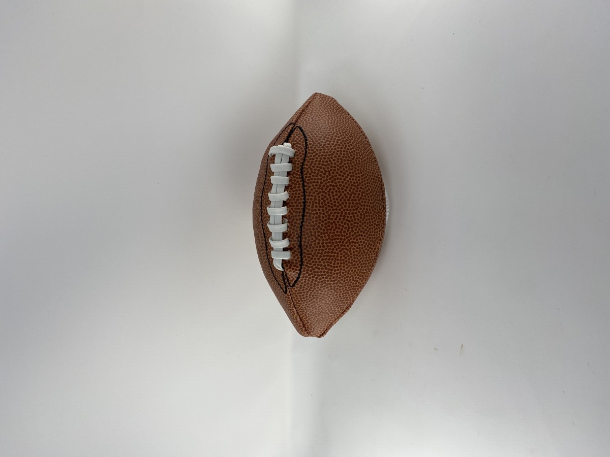 Picture picture of our Bell Football, Junior Size