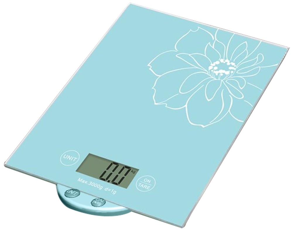 Picture picture of our Talking Kitchen Scale