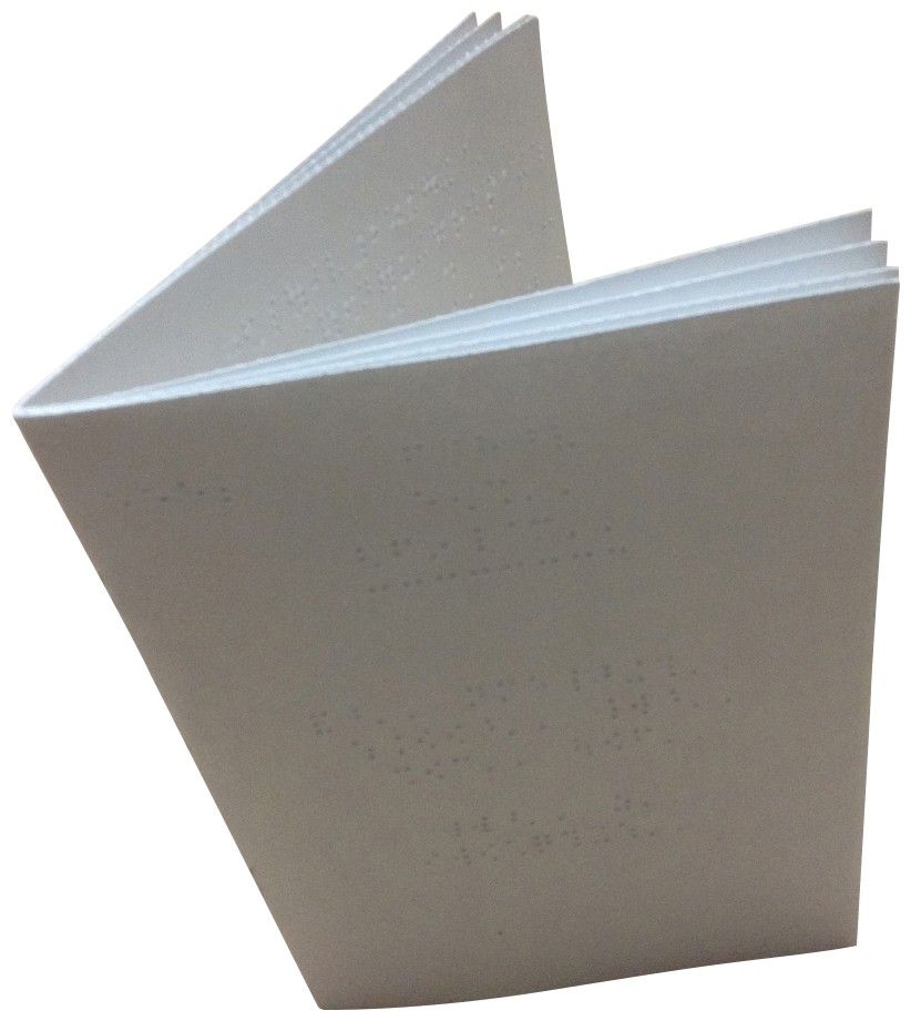 Larger picture of our Braille Rule Book