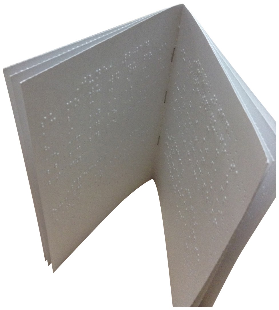 Different picture of our Braille Rule Book