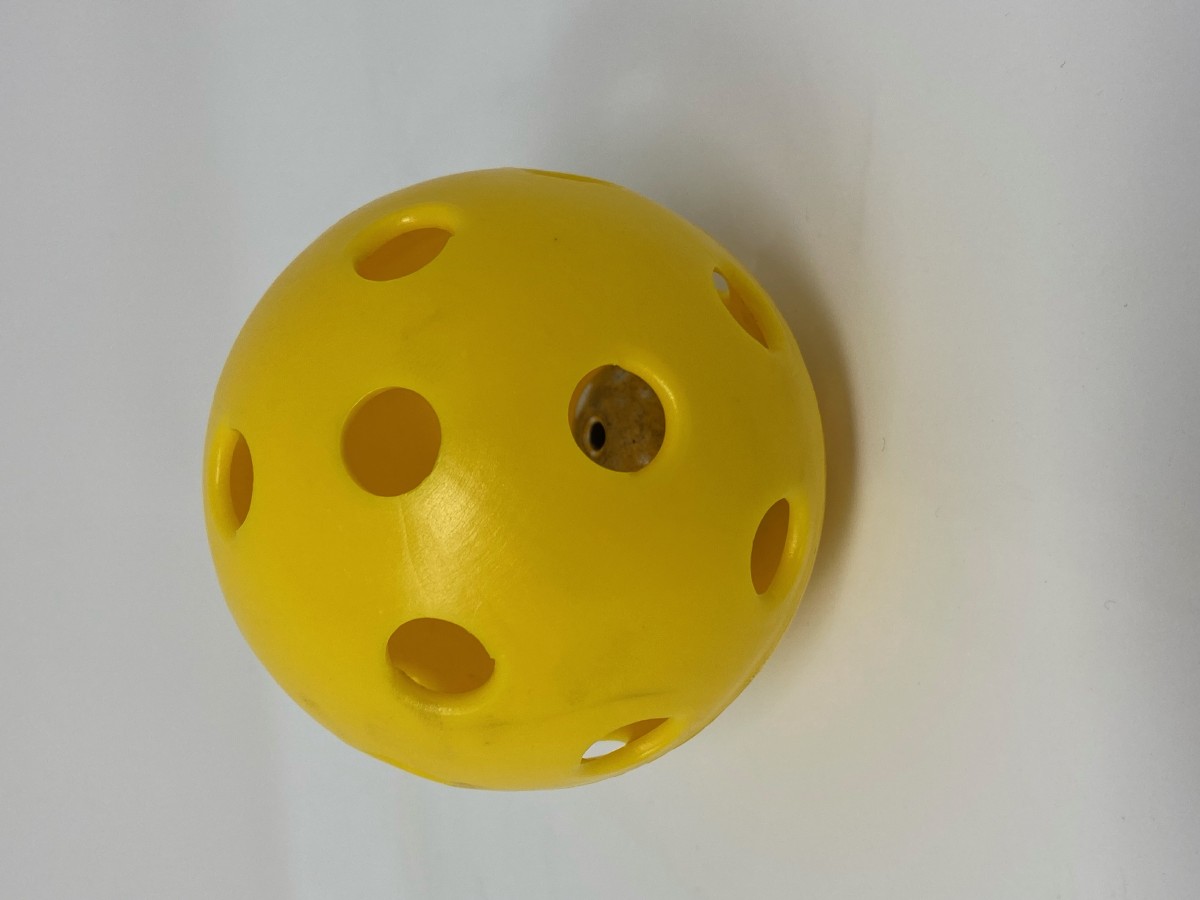 Picture picture of our Bell Pickle Ball