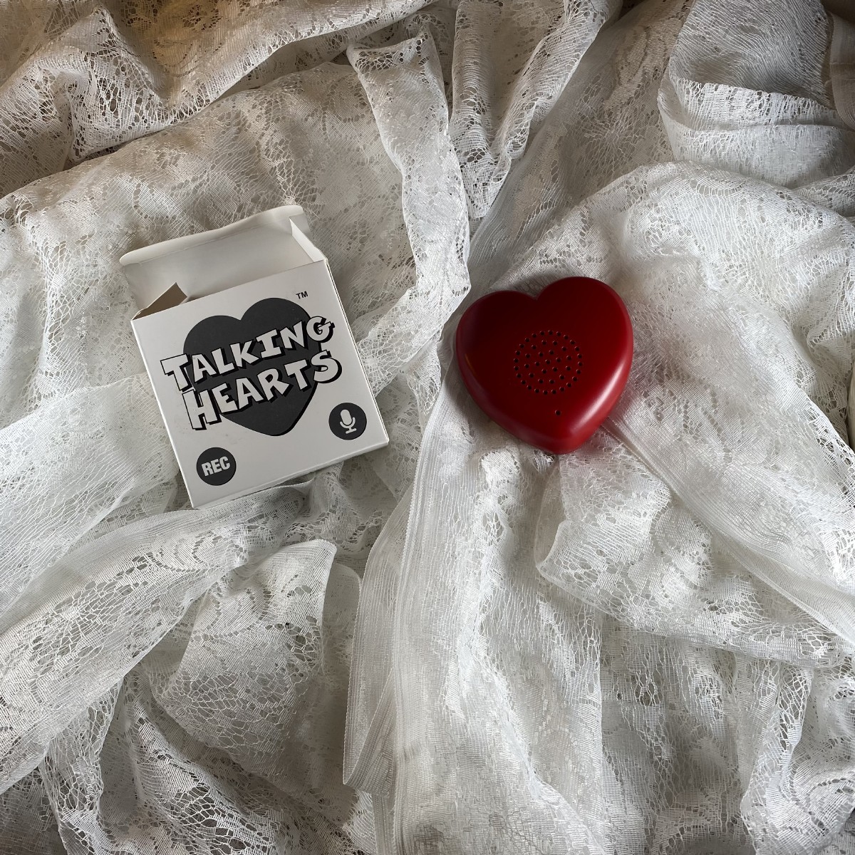 Picture picture of our Recording Heart