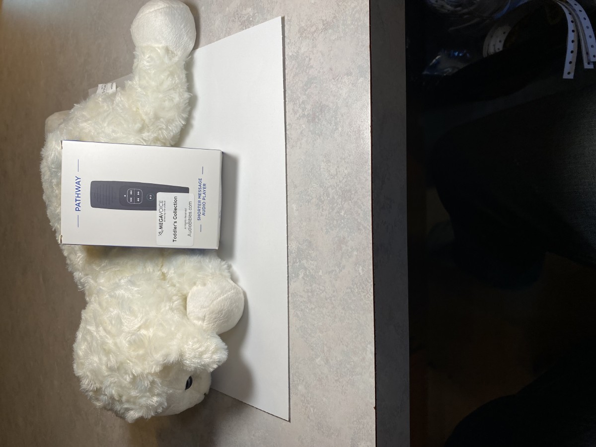 Picture picture of our Teddy Bear Audio Bible for Young Children